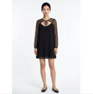 ModCloth Swiss Dot Mesh Sleeve Babydoll Dress